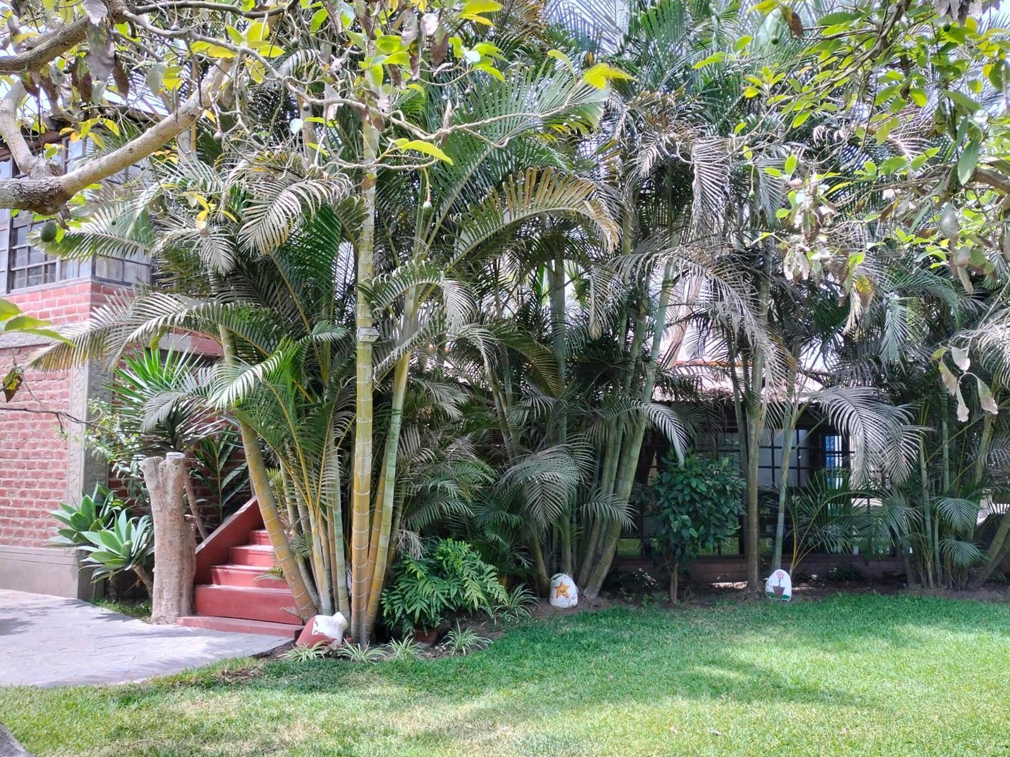 Casa Del Gringo Hotel Cieneguilla Bagian luar foto